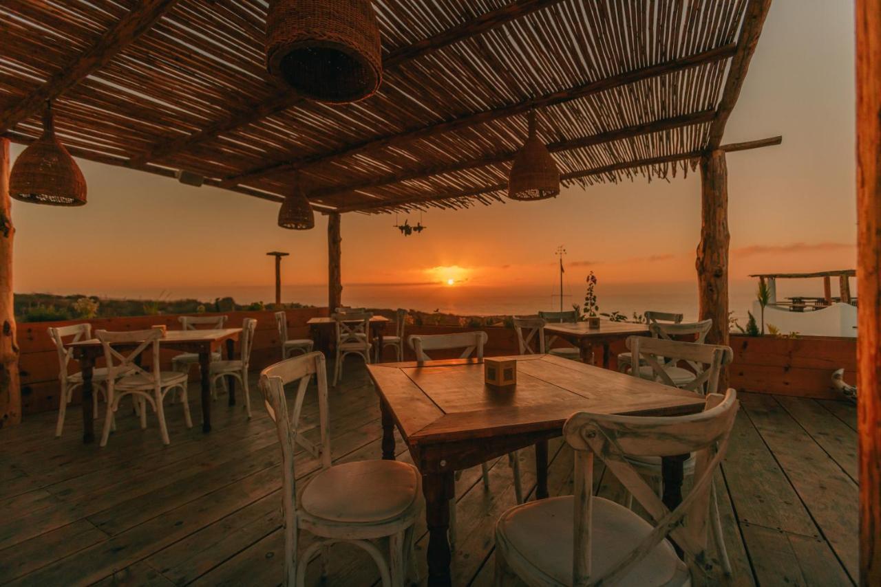 Nest Baja Hotel San José del Cabo Kültér fotó